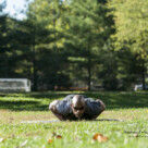 Planks and Push-Ups and Pain, Oh My!!! – 9.12.12